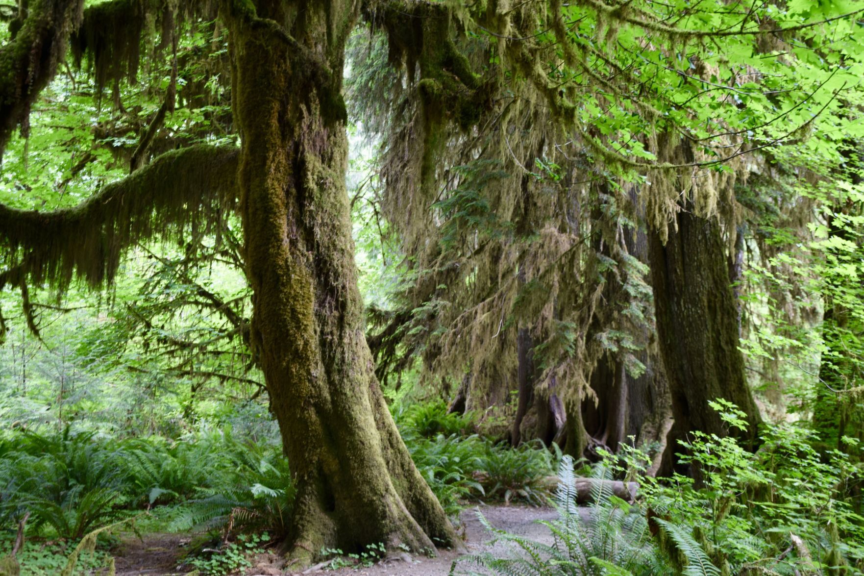Travel story on Washington state